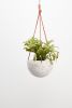 Terrazzo Dome Hanging Planter | Vases & Vessels by Capra Designs