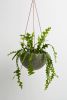 Terrazzo Dome Hanging Planter | Vases & Vessels by Capra Designs