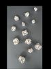 Hand-sculpted Clay Peony Tulip Wall Sculpture – Set of 12 | Wall Hangings by Leramic