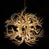 Alan Mizrahi KA1900 Lucite Antlers | Chandeliers by Alan Mizrahi Lighting Design