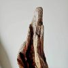 Driftwood Art Sculpture "Posing Porpoise" | Sculptures by Sculptured By Nature  By John Walker. Item composed of wood compatible with minimalism style