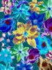 Clematis Photomontage- 5 Versions | Photography by Joanie Landau