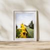 Photograph • Sunflowers, Grasshopper, Insects, Nature | Photography by Honeycomb. Item composed of metal and paper