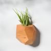 GEORGIA Cherry Air Plant Holder | Planter in Vases & Vessels by Untitled_Co