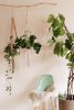 Summer Goals Plant Hanger - Premade! | Plants & Landscape by Modern Macramé by Emily Katz. Item made of cotton with leather