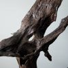Driftwood Art Sculpture "Stallion" | Sculptures by Sculptured By Nature  By John Walker. Item made of wood works with minimalism style
