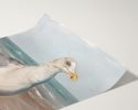 Wobbly Leg Seagull | Prints by The Ugly Cat Studio