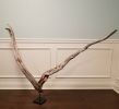 Driftwood Sculpture "Wishing On" | Sculptures by Sculptured By Nature  By John Walker. Item composed of wood in minimalism style