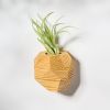 GEORGIA Pine Air Plant Holder | Planter in Vases & Vessels by Untitled_Co