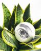 EYE_10 | Decorative Objects by neo