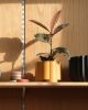Pillar Planter | Vases & Vessels by Misewell