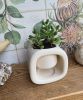 Kyu | Plant Pot 01 | Planter in Vases & Vessels by Amanita Labs