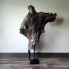 Large Driftwood Sculpture "Arboreous Capote" | Sculptures by Sculptured By Nature  By John Walker. Item composed of wood compatible with minimalism style