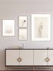 Emerging #3 | Photography by Louise O'Gorman
