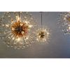 Alan Mizrahi WM2124 Sofia | Chandeliers by Alan Mizrahi Lighting Design
