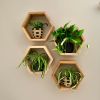 Set of 2 Honeycomb Shelves, Hexagon Shelves | Shelving in Storage by Crafted Glory. Item composed of oak wood