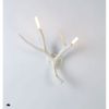 JT215 Antler Wall Sconces | Sconces by Alan M