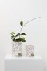 Archie Planter Set | Vases & Vessels by Capra Designs