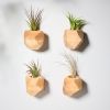 GEORGIA Maple Air Plant Holder | Planter in Vases & Vessels by Untitled_Co