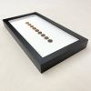 E Pluribus Unum | Ornament in Decorative Objects by Farmhaus + Co.. Item composed of metal
