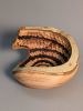 Spiral Out | Ornament in Decorative Objects by Wood Alchemist Studio