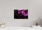 Emulate | Photography by Eric C. Jackson Studio, LLC.