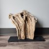 Driftwood Sculpture "Liberty" | Sculptures by Sculptured By Nature  By John Walker. Item made of wood works with minimalism style