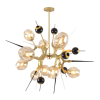 IQ2980 Ikebana Burst | Chandeliers by Alan M