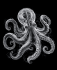 EXPOSED 003 — OCTOPUS | Decorative Objects by Exposedart