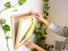 Vinyl Record Display Frame | Decorative Frame in Decorative Objects by Dot & Rose. Item composed of maple wood