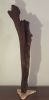 Large Driftwood Sculpture "Chocolate Frond" with Marble Base | Sculptures by Sculptured By Nature  By John Walker. Item composed of wood in minimalism style