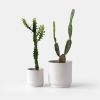 Kolo Planter - 2 sizes | Vases & Vessels by Misewell