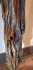 Driftwood Sculpture "Certainty" | Sculptures by Sculptured By Nature  By John Walker. Item composed of wood in minimalism style