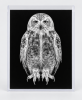 EXPOSED WINTER — SNOW OWL | Decorative Objects by Exposedart