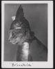 Valkyrie Cat Art Print, Brünnhilde Mythology Wall Art | Prints in Paintings by The Ugly Cat Studio