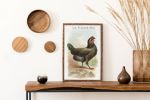 Vintage White Hen Rooster Art, Vintage Chicken Art, Vintage | Prints in Paintings by Capricorn Press. Item composed of paper compatible with boho and minimalism style
