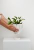 Solstice Planter | Vases & Vessels by Capra Designs