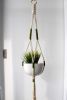 Moss Green Macrame Plant Hanger – Minimalist Hand-Dyed Indoor Planter- 35" | Plants & Landscape by Freefille