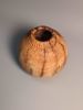 Spalted Birch Hollow Form 2 | Ornament in Decorative Objects by Wood Alchemist Studio. Item made of wood