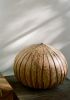 H: 10" w: 12" | Vase in Vases & Vessels by SKOBY JOE CERAMICS. Item composed of stoneware