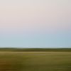 Alligator Alley | Photography by Neon Dunes by Lily Keller