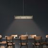Crystal Cage LED Long Linear Suspension Gold | Chandeliers by Michael McHale Designs. Item made of metal with glass