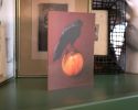 Black Crow Apple Greeting Card – Wildlife Art (5"x7") | Gift Cards by The Ugly Cat Studio