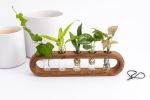 Ovate propagation station | Planter in Vases & Vessels by Almon Woodcraft
