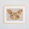 Wild Silk Moth - Natural | Tapestry in Wall Hangings by Tanana Madagascar. Item composed of fabric and fiber