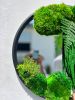 Botanical Mirror | Decorative Objects by Moss Art Installations