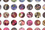 Arcadia | Collage in Paintings by Amelia Coward
