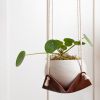 Large Leather Plant Hammock | Plant Hanger in Plants & Landscape by Keyaiira | leather + fiber | Artist Studio in Santa Rosa. Item made of cotton with leather