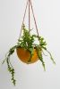 Block Color Dome Hanging Planter | Vases & Vessels by Capra Designs