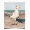 Seagull Art Print, Funny Beach Bird Wall Art, Coastal Decor, Nova Scotia Gull | Prints in Paintings by The Ugly Cat Studio
